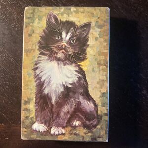 Vintage Stardust Playing Cards Cat Theme Plastic Coated Nu-View Tint Brand New